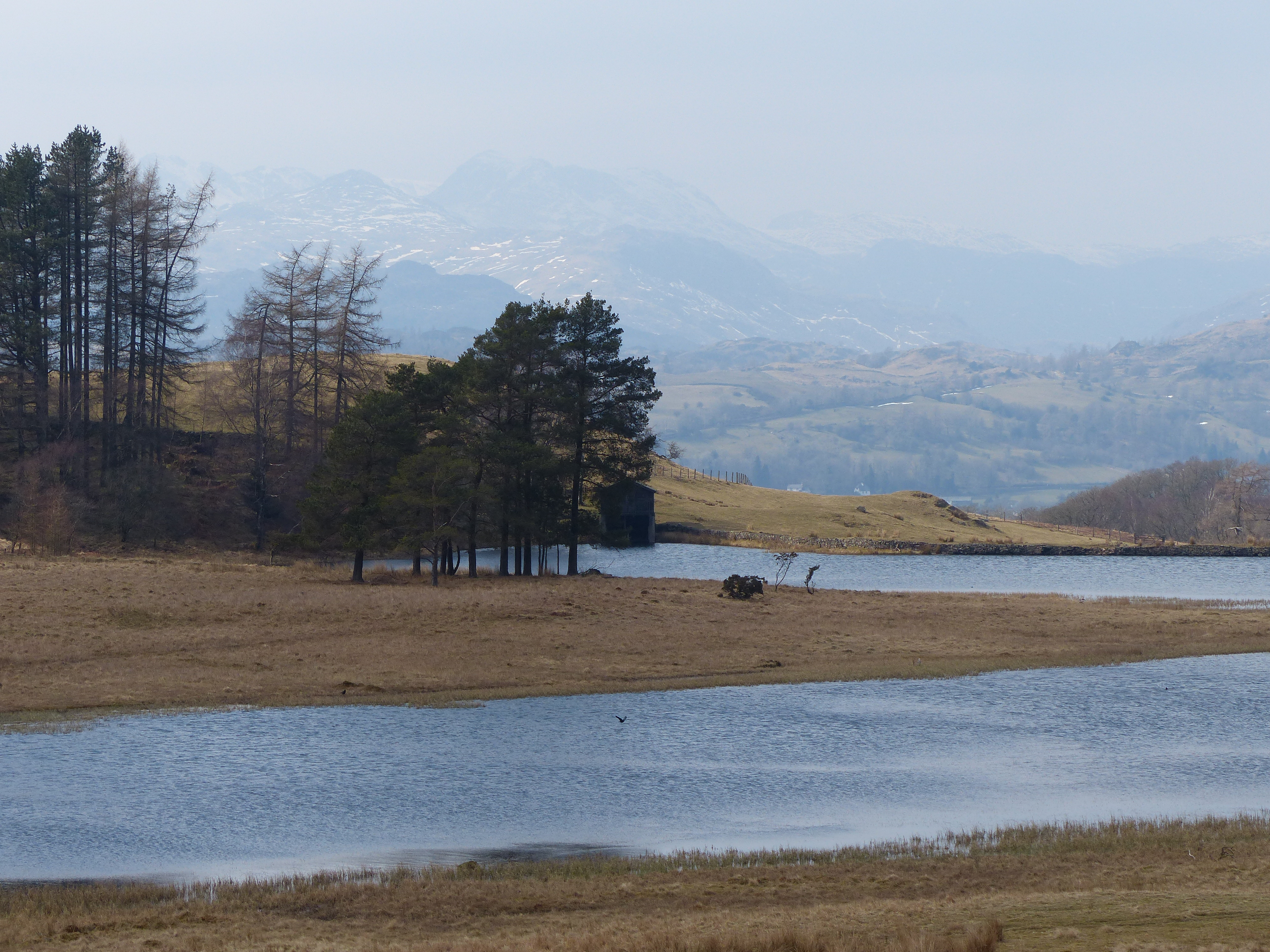 Wise Een Tarn