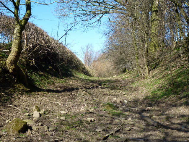 The actual ditch