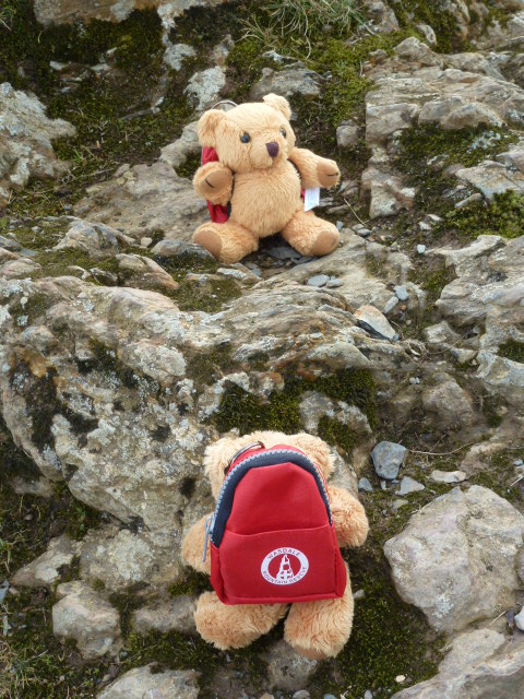 Mountain Rescue bears Ted and Wally on Catbells