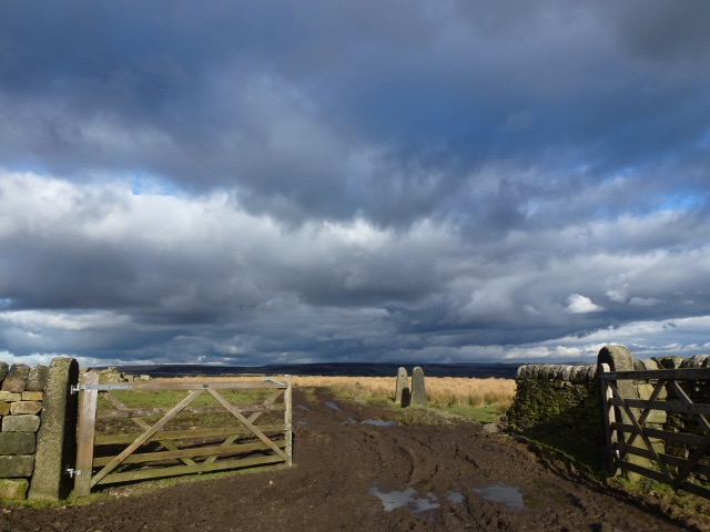 P1040596