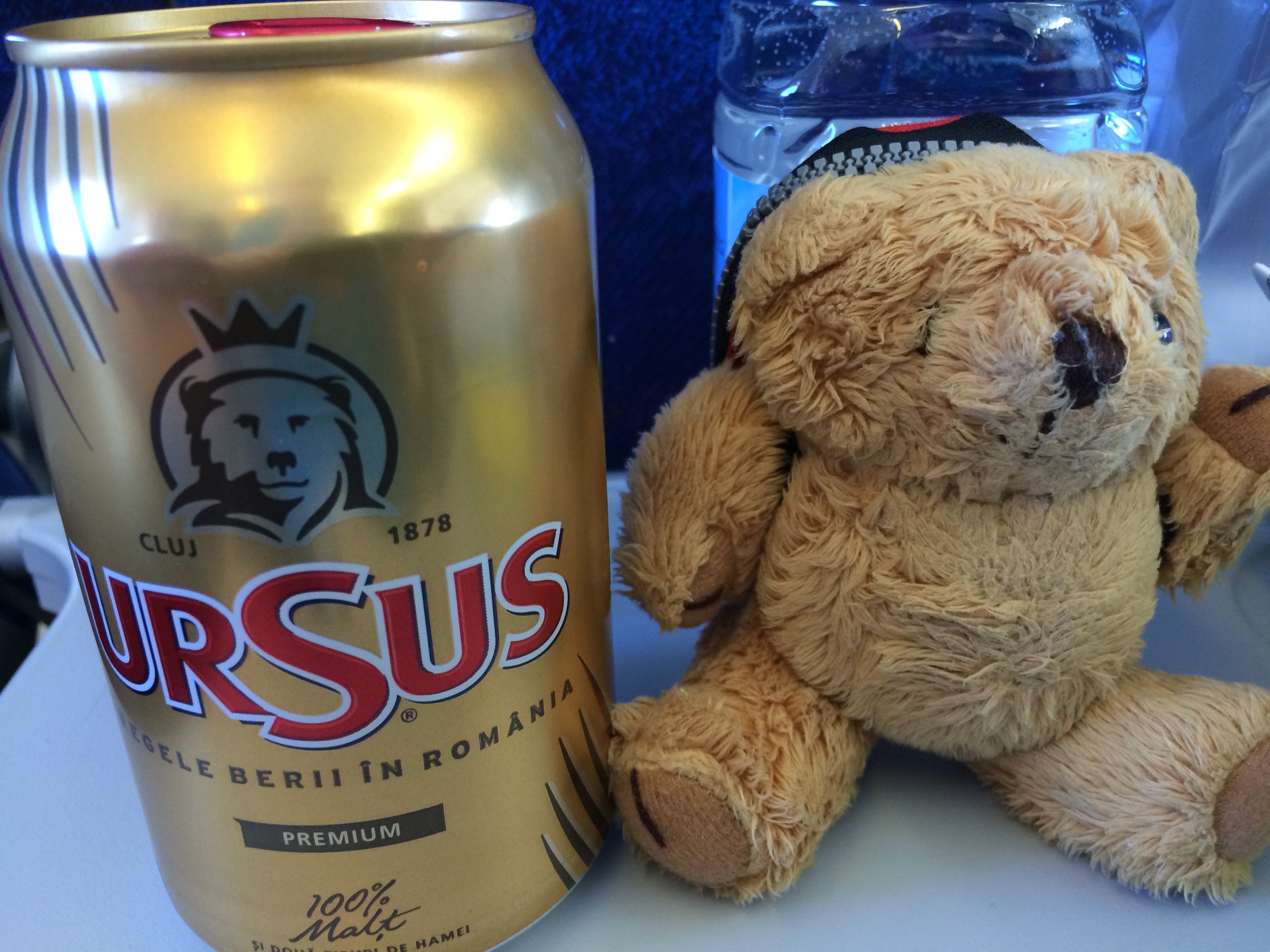 Little Ted and the Hungarian bear beer