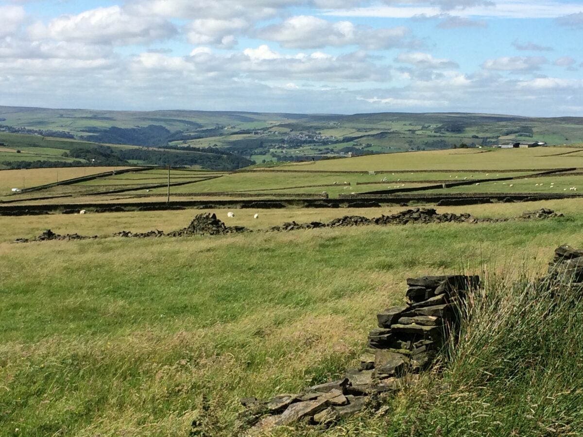 Calderdale Way 2nd July 2017