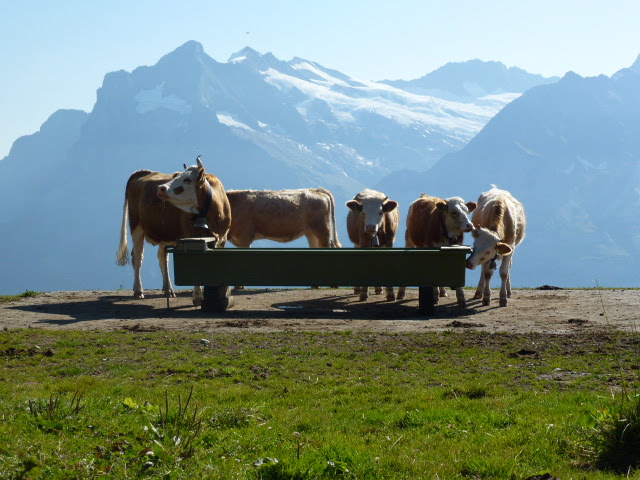 Switzerland August 2019 Pt 2